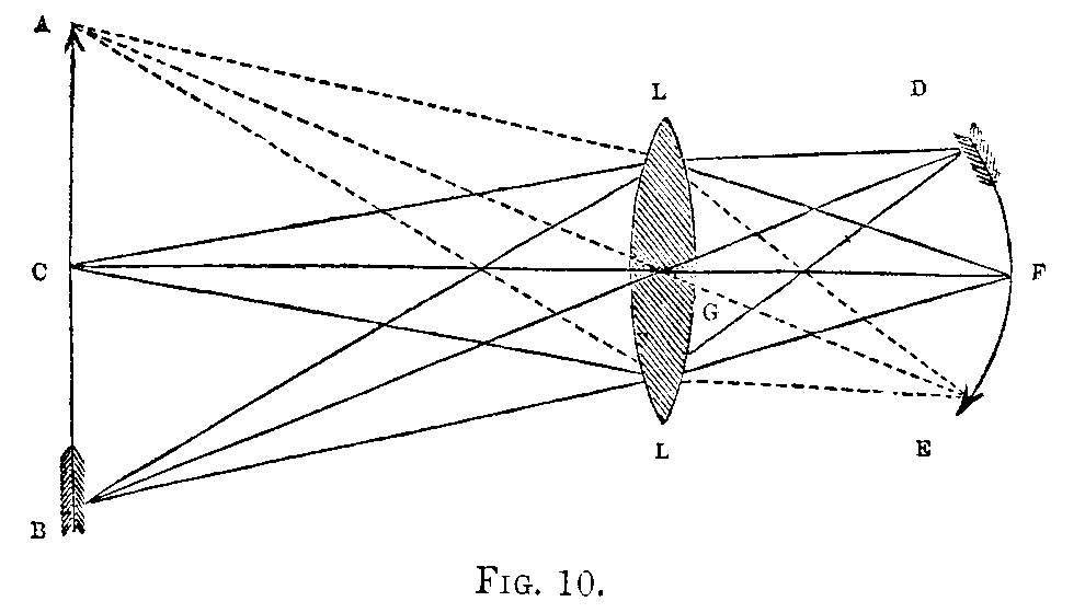 [Illustration: Fig. 10]