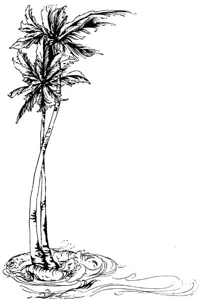 Palm Tree