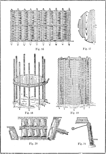 Plate III