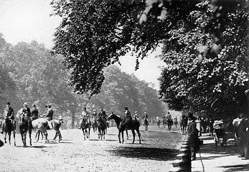 Old gentlemen, stout ladies, young people, and small
children, all ride in England.