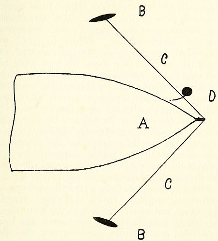 Fig. 30.—Plan showing the chief characteristics of the paravane mine defence gear.