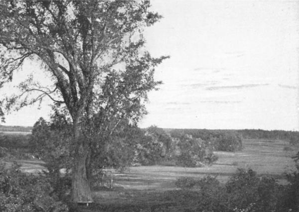 HAMPTON RIVER MARSHES