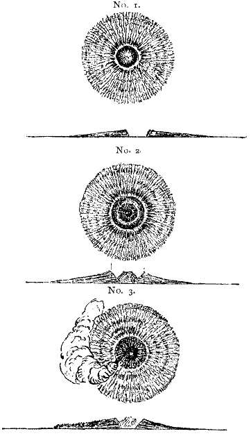 Forms of volcanic tuff cones