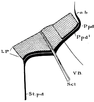 Fig. 33