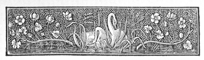 Illustration: Banner with swans