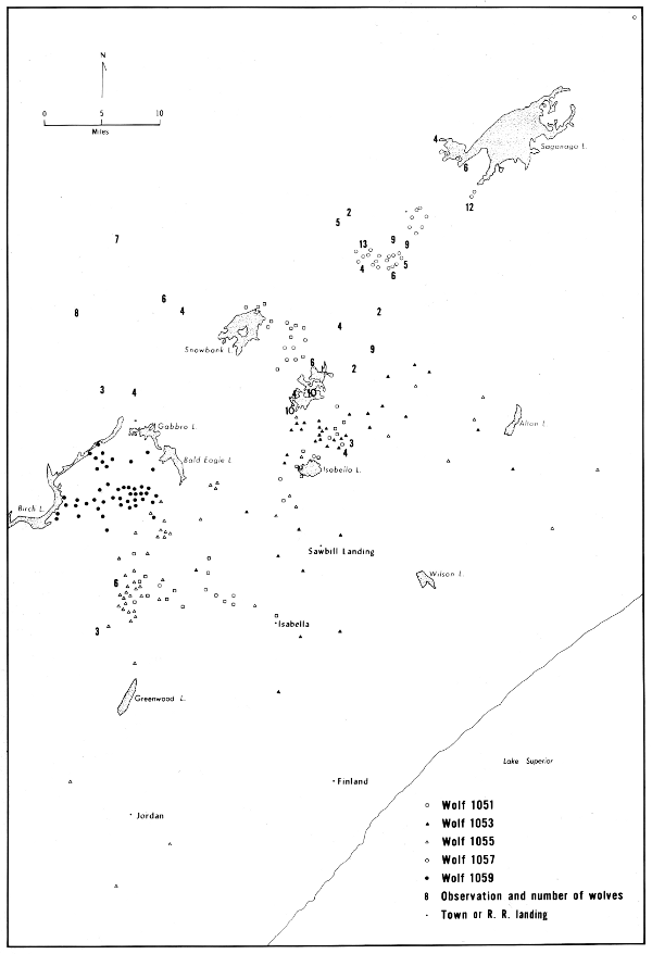 Figure 35.—Locations of all radiotagged wolves and unmarked packs observed
during winter 1968-69, except dispersal of 1051 out of the study area.
Only selected lakes shown.