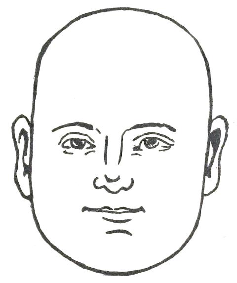 Fig. 13

OBLONG FACE