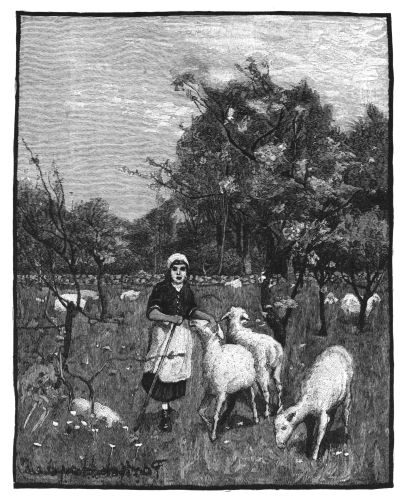 Girl with sheep