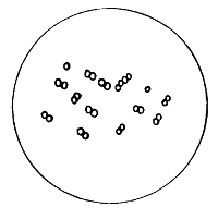 Diplococcus of Pneumonia