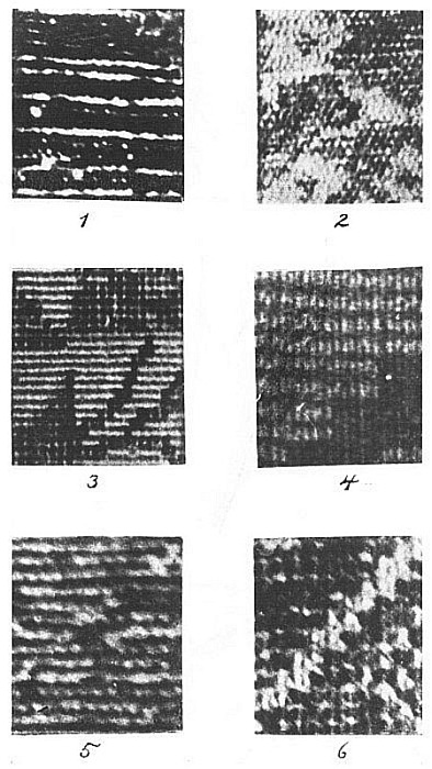 Characteristic Backs of Rugs (1).