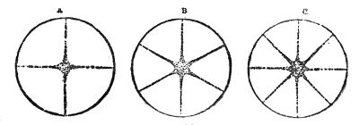 Fig. 72.