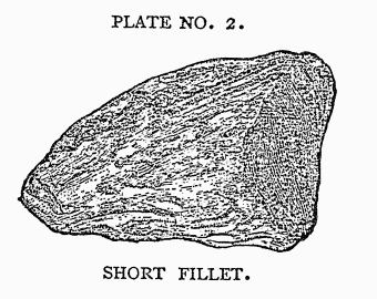 PLATE NO. 2. SHORT FILLET.