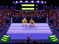 Title Match Pro Wrestling